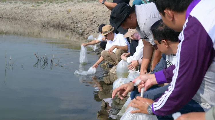 Jaga Ekosistem, Pemkab Karanganyar Tebar 15 Ribu Benih Ikan