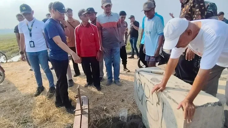 Sedimentasi Saluran Irigasi di Desa Gadingan Mojolaban Akhirnya Dikeruk