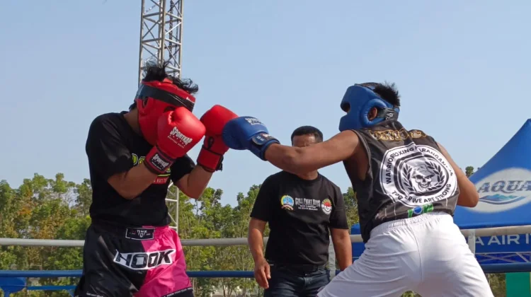 Jaring Bibit Atlet Muda, PSHT Kobaret Gelar Kejuaraan Boxing