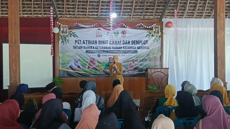 Dorong Ketahanan Pangan, PTSI Gelar Pelatihan Cabai dan Demplot di Karanganyar