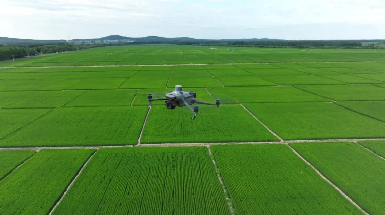 Ketika Teknologi Membantu Petani dari Jauh