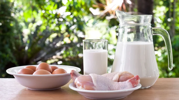 Ayam atau Telur, Mana Lebih Baik untuk Menurunkan Berat Badan?