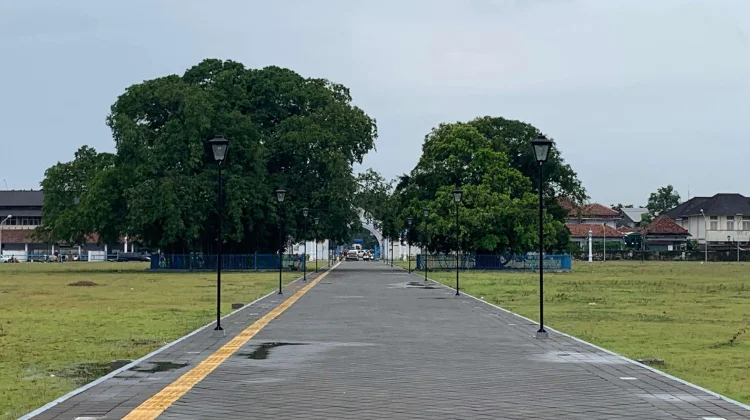 Makna Ringin Kembar di Alun-alun Keraton Surakarta