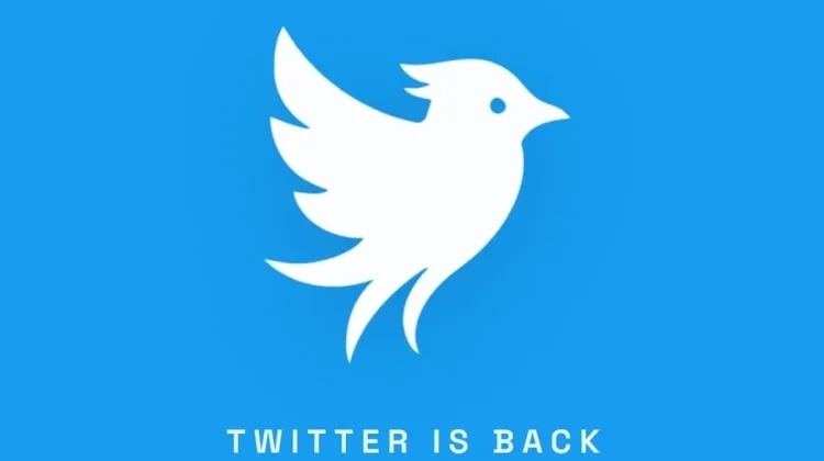 Mengenal Twitter.now, Media Sosial Anyar Garapan Eks Twitter
