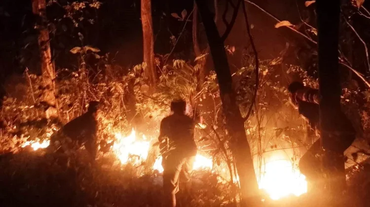 Polres Sragen dan Tim Terpadu Gerak Cepat Padamkan Kebakaran Lahan Jati di Miri