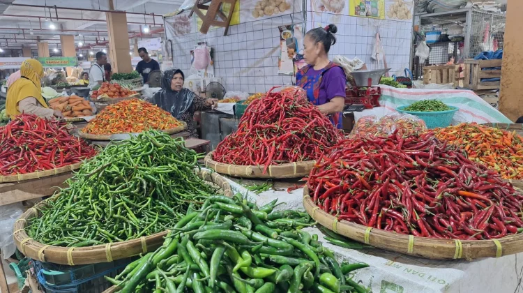 Panen Raya Pengaruhi Harga Cabai di Pasar Legi Solo