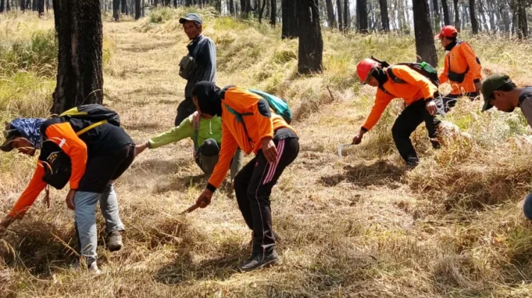 Cegah Karhutla Gunung Lawu, BPBD Karanganyar Buat Ilaran di Pos 5 Lawu