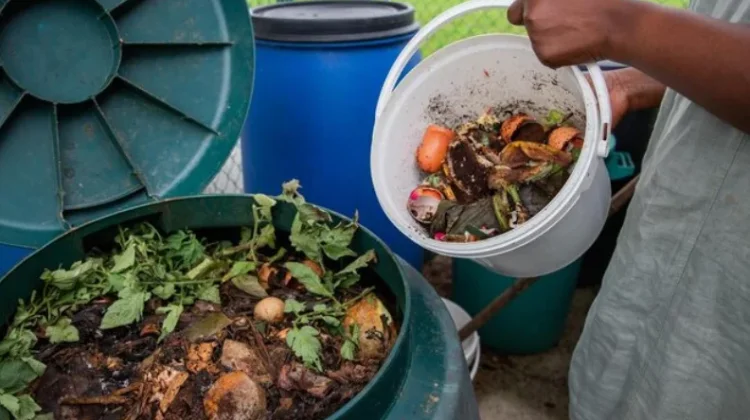 Kelola Sampah Mulai dari Rumah