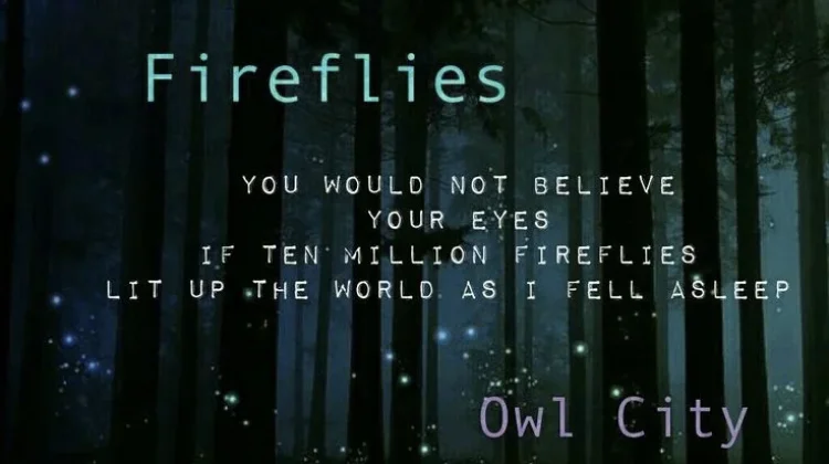 Fireflies, Lagu Viral sebelum Era TikTok
