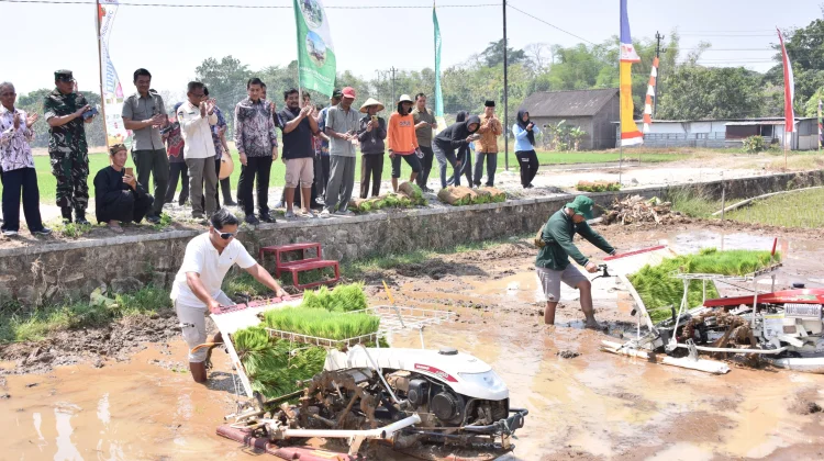 Kemarau Panjang, Petani di Sukoharjo Maksimalkan Irigasi Perpompaan