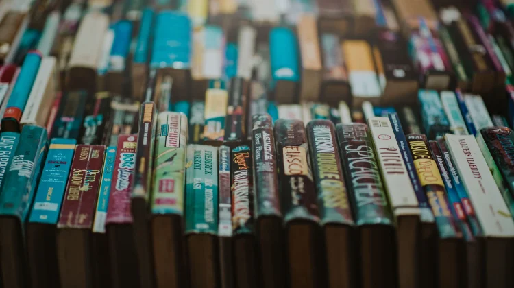 Membaca Novel Bukan Sekadar Hiburan, tetapi Cara Memahami Manusia