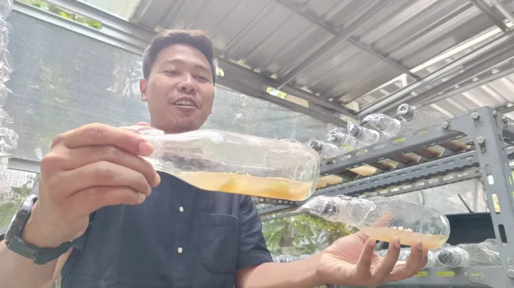 Bina Kemuning Orchid, UNS Sukses Tingkatkan Bisnis Bibit Anggrek Lokal