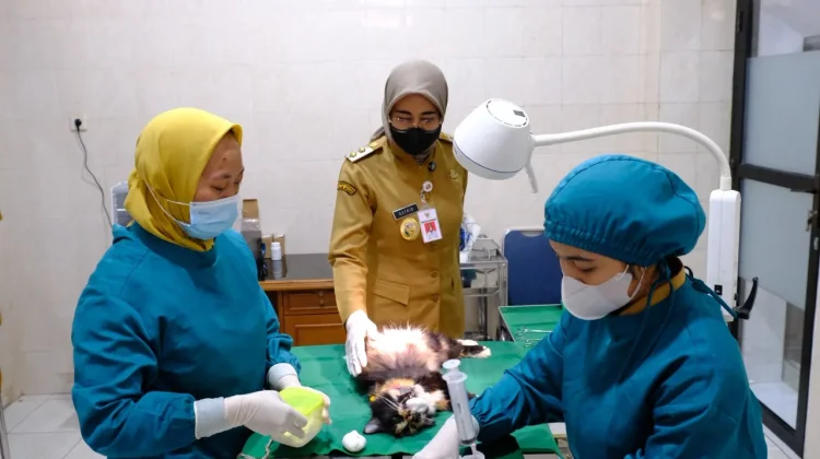 Astrid Widayani Tinjau Puskeswan Surakarta, Soroti Pengendalian Kucing Liar