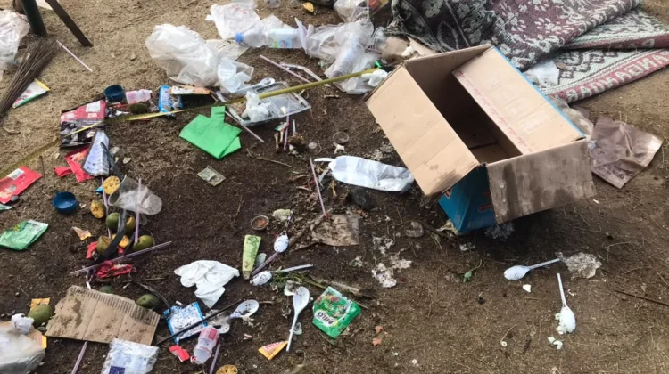 Sampah Pascahaul Solo Diperkirakan Lebih dari 30 Ton, Didominasi Plastik