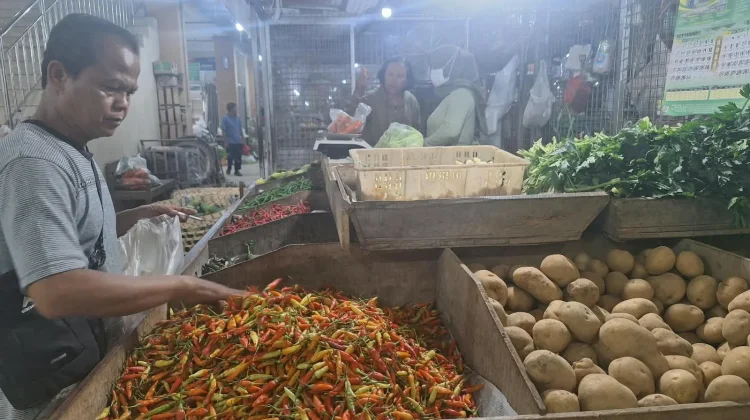 Kemarau Panjang, Harga Cabai Keriting Merah di Solo Naik