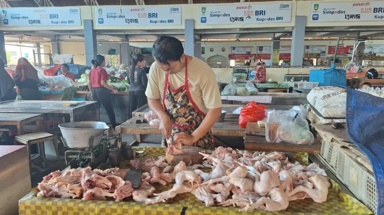 Sempat Melambung, Harga Daging Ayam Broiler di Solo Mulai Turun