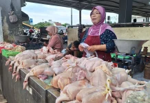 Memasuki Ramadhan Daging Ayam Ras Tembus Harga Rp40.000 Perkilogram