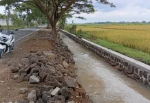 DPU Sragen Klaim Talut Irigasi Ambrol Gondang-Toyogo Proyek Pusat