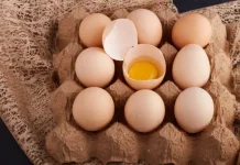 Jangan Salah Pilih, Ini Tips Simpan Telur