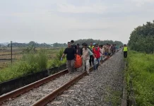 Perempuan Tanpa Identitas Tewas Tersambar KA Matarmaja di Jalur Miri, Sragen