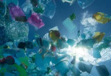 Bahaya Menggunakan Kantong Plastik bagi Lingkungan dan Kesehatan
