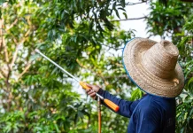 Bijak Gunakan Pestisida, Produktivitas Naik tanpa Merusak Lingkungan