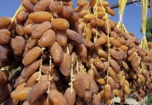 Cara Bedakan Kurma Alami dan Bergula