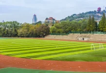 Ragam Olahraga dengan Lapangan Permainan Terbesar