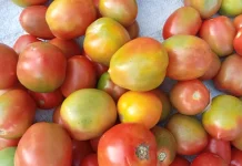 Memasuki Bulan Ramadan, Harga Sayur Mayur Merangkak
