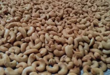 Kacang Mete, Camilan Lezat dengan Segudang Nutrisi