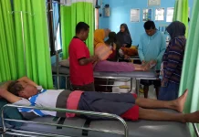 Diserang Tawon saat Panen Padi, 8 Petani Jatiyoso Dilarikan ke Puskesmas