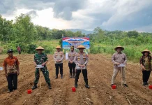 Polres Wonogiri Tanam Jagung Dukung Ketahanan Pangan Nasional