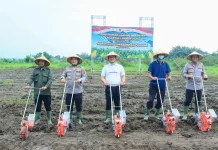 Tanam Jagung Nasional, Polda Jateng Kawal Target 161 Ribu Hektar