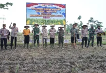Forkompinda Sragen Tanam Jagung Serentak Kuartal I 2026 di Masaran