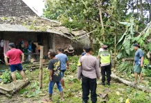 Cuaca Ekstrim di Sragen 9 Pohon Tumbang, 6 Rumah Rusak 2 KK Mengungsi