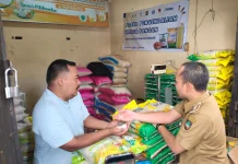 Pedagang Pasar Nusukan Keluhkan Pasokan Beras dari Penggilingan