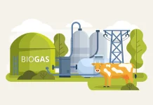Desa Mundu Kembangkan Biogas dari Kotoran Sapi
