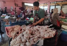Sidak Pasar Jungke, Bupati Karanganyar Pastikan Stok Aman