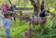 Taman Balekambang Solo Targetkan 15 Ribu Pengunjung Selama Lebaran 2026