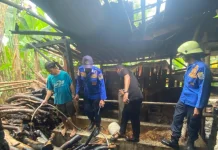 Bakar Sampah Merembet, Kandang Sapi Milik Warga Jumantono Hampir Ludes Terbakar