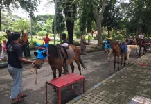 Libur Lebaran, Wahana Kuda Balekambang Diserbu Pengunjung