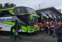 Penumpang Bus Umum Tergerus Mudik Gratis dan Kendaraan Pribadi