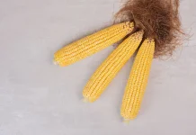 Jangan Dibuang, Rambut Jagung Bisa Jadi Teh yang Menyehatkan