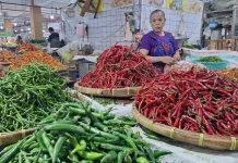 Paska Lebaran, Harga Cabai di Solo Turun drastis Dari 100.000 Kini Rp 70.000