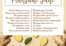 Konsumsi Jahe untuk Penderita Asam Lambung