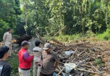 Kandang Ayam di Kerjo Karanganyar Roboh, Ribuan Ayam Mati