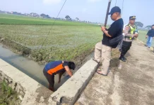 Polisi Selidiki Penyebab Perempuan Asal Grobogan  Tewas di Sawah Sragen