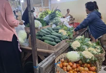 Paska Lebaran Harga Sayur mayur di Kota Solo Alami Kenaikan Signifikan