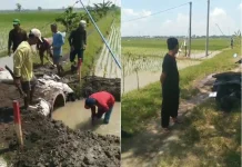 Kepala Desa Gawan Sesalkan Aksi Sepihak Petani Jono, Bongkar Saluran Irigasi