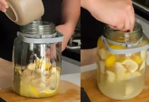 Mengolah Kulit Lemon Jadi Minuman Soda Alami